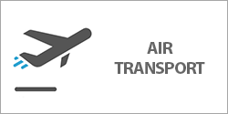 Zracni transport